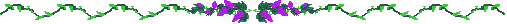 ac555.gif (1301 bytes)